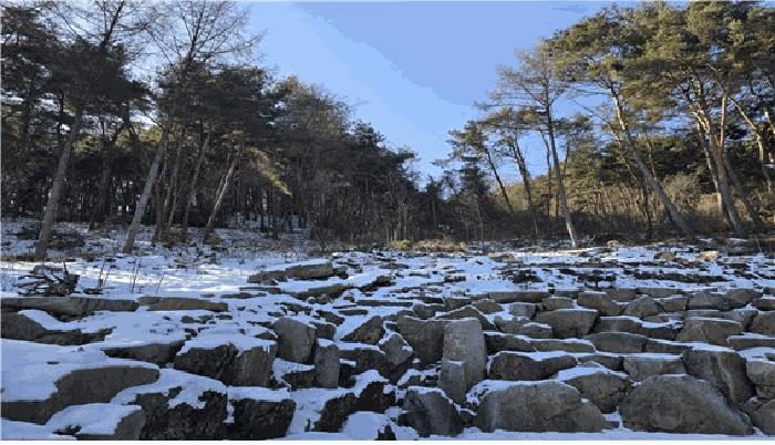 법원경매 2024타경3277 사진3 | 횡성군 둔내면 둔방내리 230-32 임야 경매