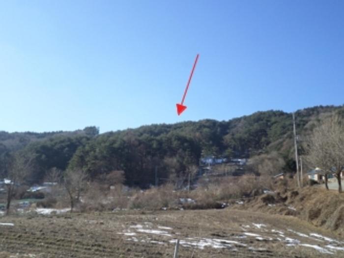 법원경매 2024타경3277 사진5 | 횡성군 둔내면 둔방내리 230-32 임야 경매