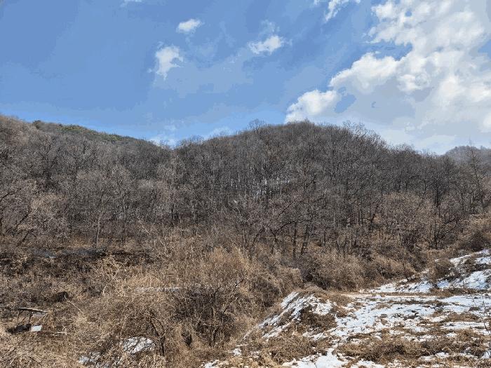 충청북도 충주시 살미면 향산리 산72-1 법원경매 물건 대표사진