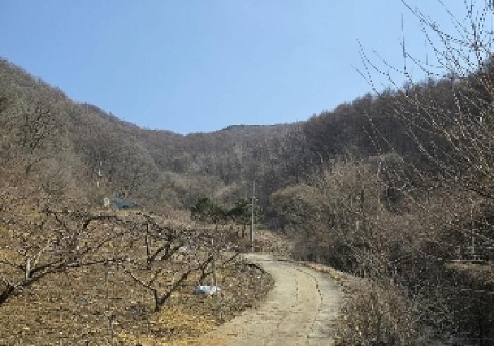 2025타경30406 법원경매 사진7 | 충북 충주시 임야 경매