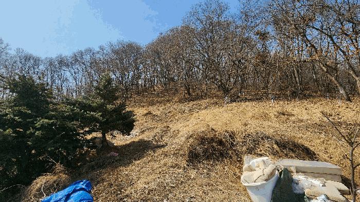 2025타경30409 법원경매 사진3 | 충북 음성군 임야 경매
