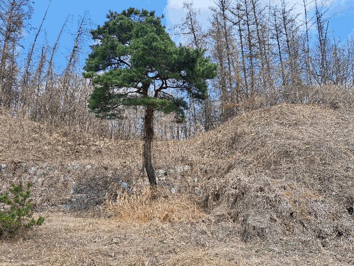 2025타경30448 법원경매 사진2 | 충북 음성군 임야 경매