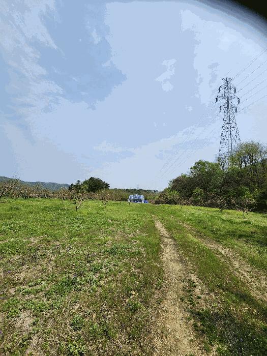 충청북도 충주시 앙성면 능암리 597 법원경매 물건 대표사진