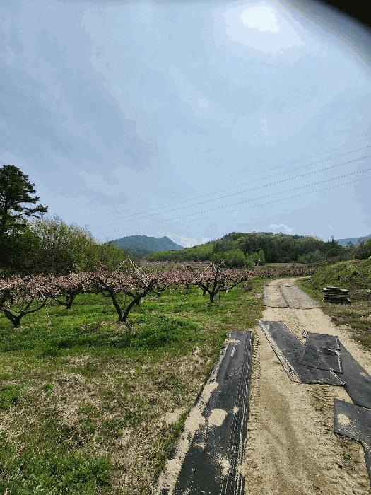 2025타경30490 법원경매 사진16 | 충북 충주시 대지,임야,전답 경매
