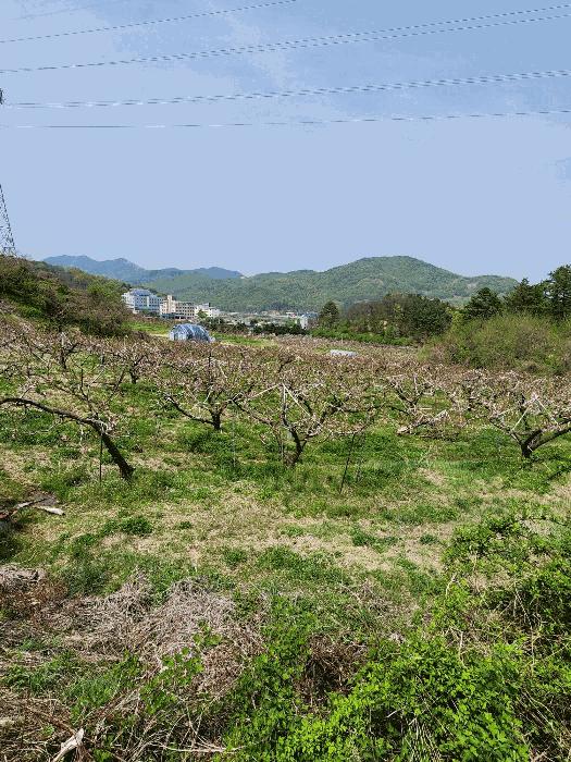 2025타경30490 법원경매 사진20 | 충북 충주시 대지,임야,전답 경매