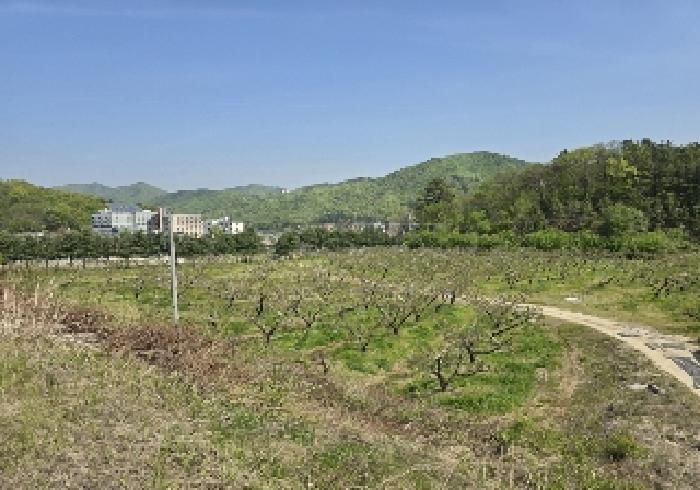 2025타경30490 법원경매 사진23 | 충북 충주시 대지,임야,전답 경매