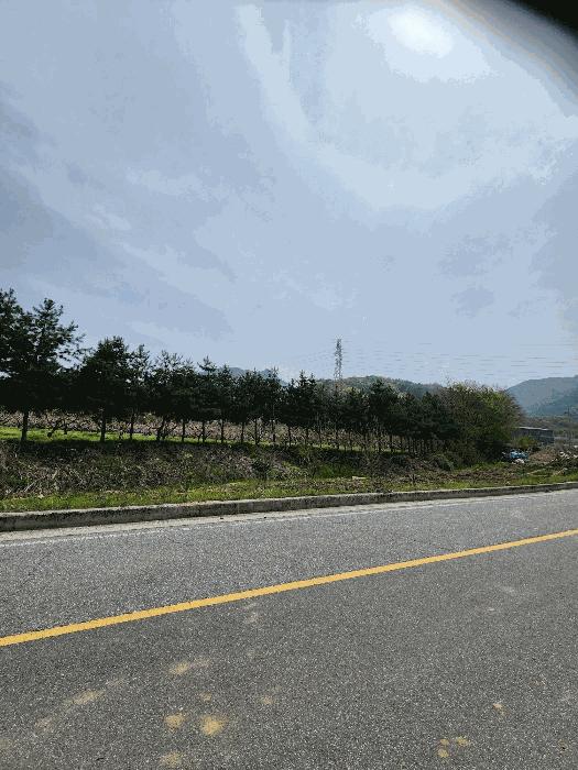 2025타경30490 법원경매 사진6 | 충북 충주시 대지,임야,전답 경매