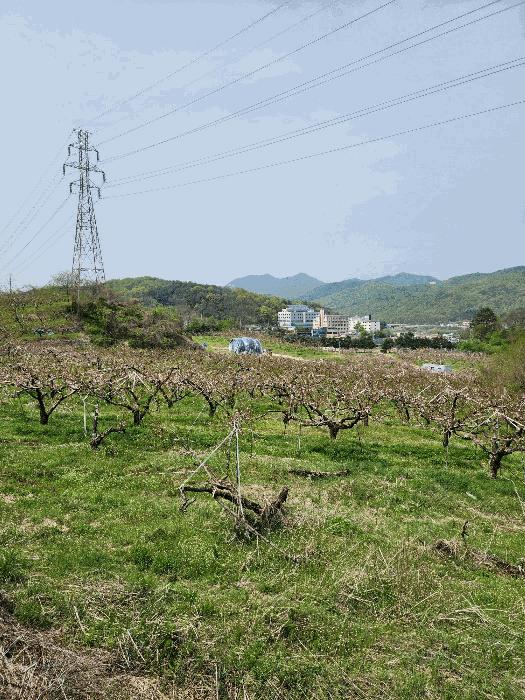 2025타경30490 법원경매 사진7 | 충북 충주시 대지,임야,전답 경매