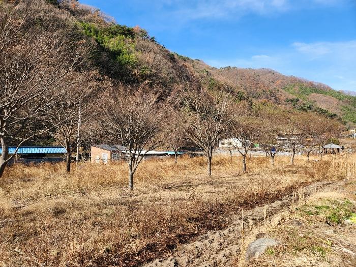 2024타경6365 법원경매 사진6 | 경남 산청군 답 경매