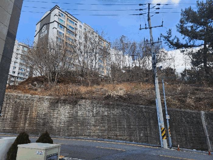 2025타경102 법원경매 사진3 | 전남 여수시 임야 경매