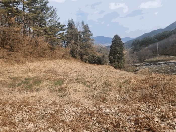 2025타경379 법원경매 사진4 | 전남 광양시 전답 경매