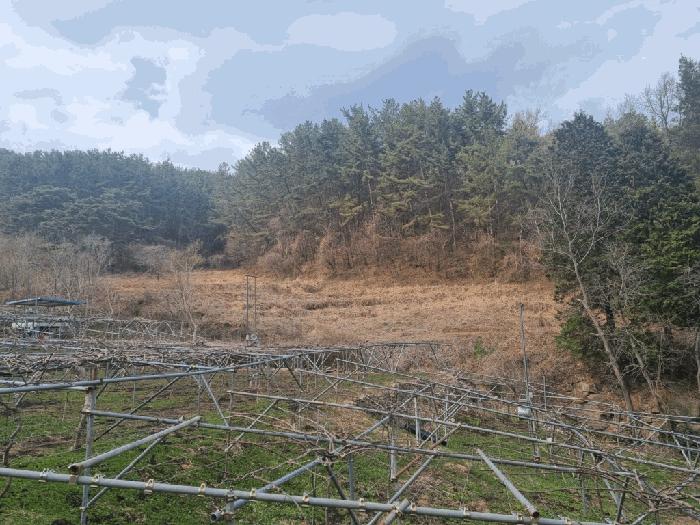 2025타경379 법원경매 사진5 | 전남 광양시 전답 경매
