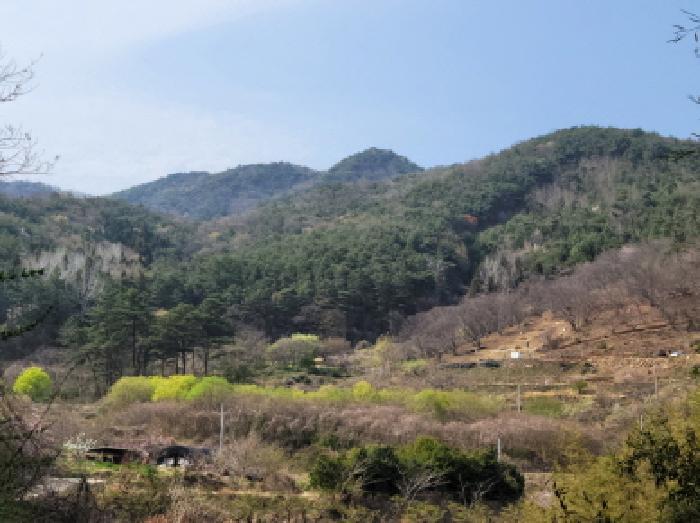 2025타경379 법원경매 사진7 | 전남 광양시 전답 경매