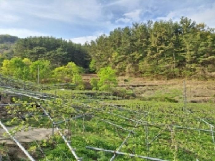 2025타경379 법원경매 사진9 | 전남 광양시 전답 경매