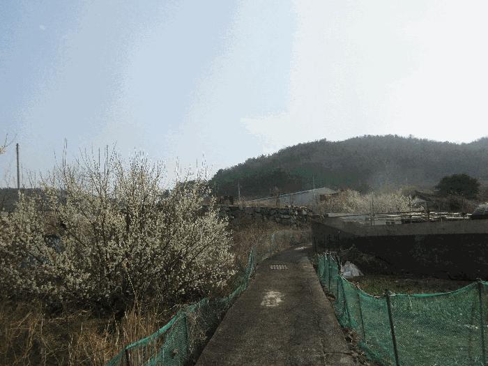 법원경매 2025타경51183 사진2 | 여수시 오천동 248 답 경매