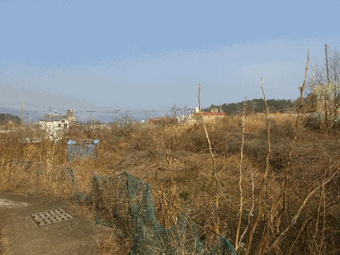 법원경매 2025타경51183 사진3 | 여수시 오천동 248 답 경매