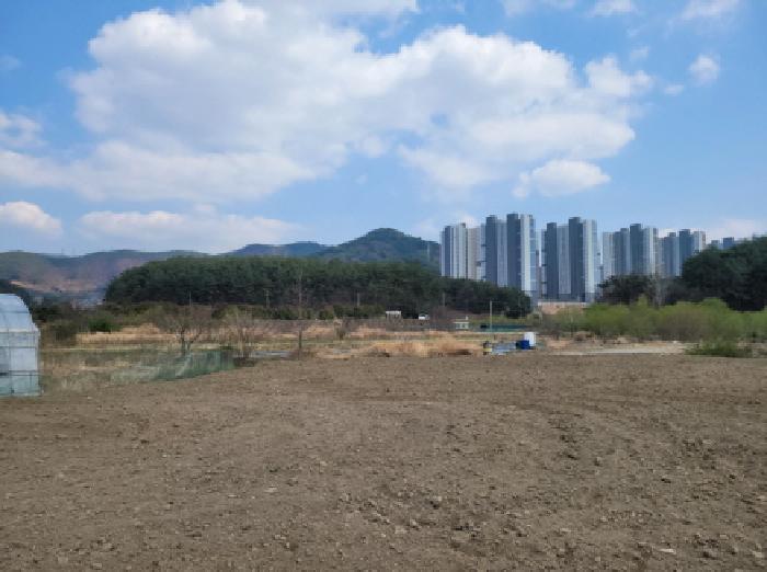 2025타경51243 법원경매 사진5 | 전남 광양시 답 경매