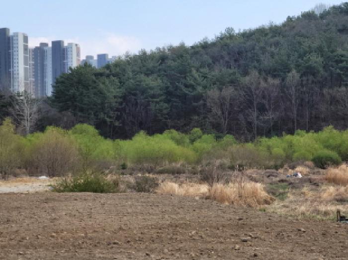 2025타경51243 법원경매 사진8 | 전남 광양시 답 경매