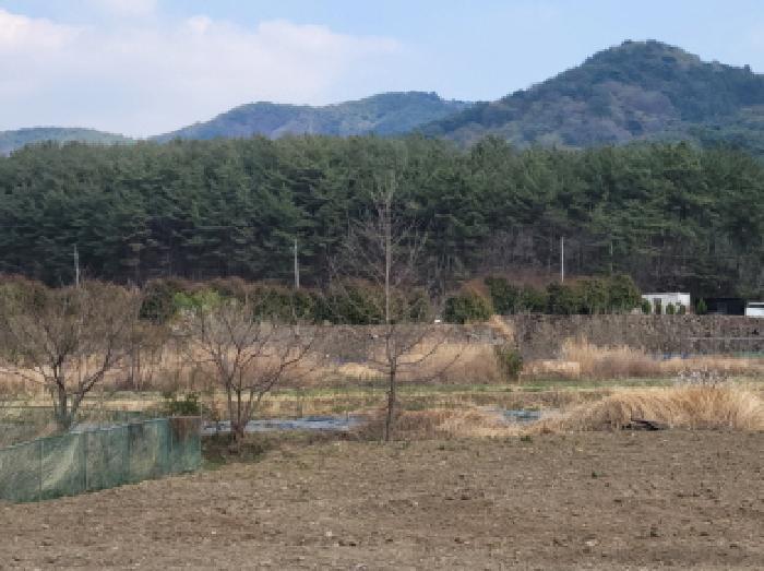 2025타경51243 법원경매 사진9 | 전남 광양시 답 경매