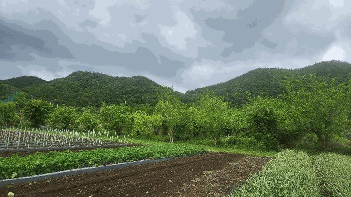 전남 여수시 소라면 현천리 759 전 사진 3