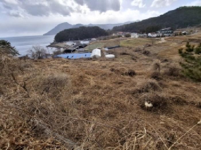 2025타경319 법원경매 사진3 | 경남 남해군 전 경매