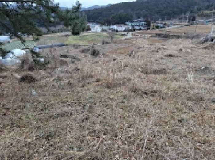 2025타경319 법원경매 사진5 | 경남 남해군 전 경매