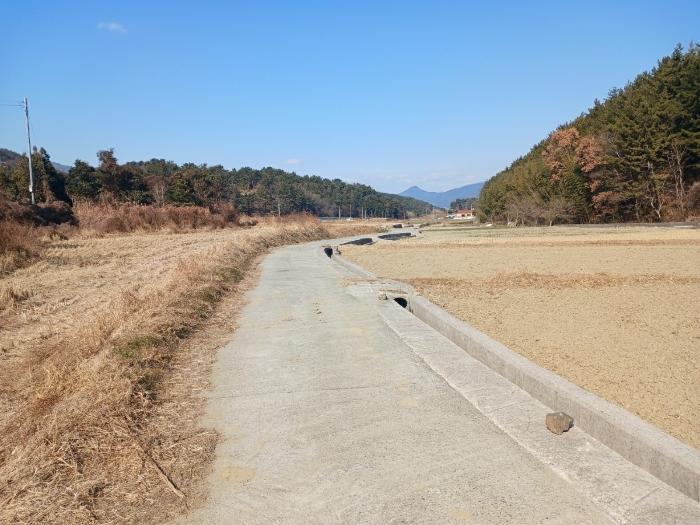 법원경매 2025타경30051 사진2 | 남해군 남해읍 입현리 1026 답 경매