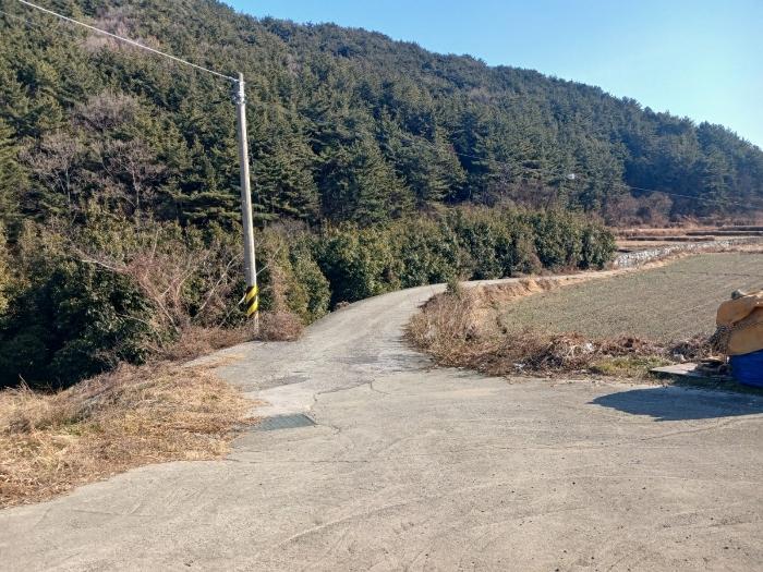 법원경매 2025타경30051 사진3 | 남해군 남해읍 입현리 1026 답 경매