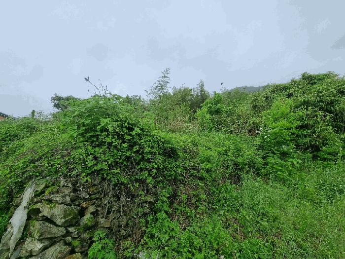 2025타경51496 법원경매 사진3 | 전남 고흥군 대지 경매