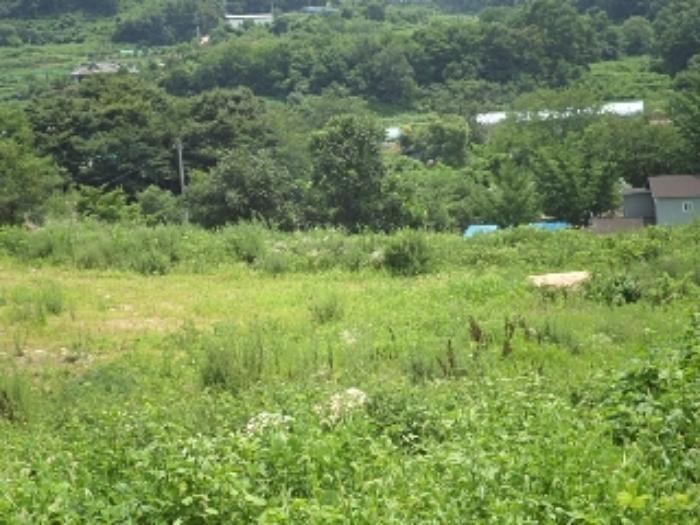 경상남도 창녕군 창녕읍 옥천리 444 법원경매 물건 대표사진