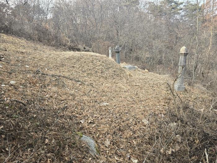 법원경매 2024타경104119 사진4 | 안동시 서후면 전 경매