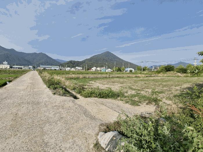 2025타경1301 법원경매 사진2 | 경남 창녕군 전 경매
