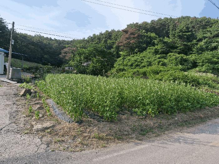 2025타경1301 법원경매 사진3 | 경남 창녕군 전 경매