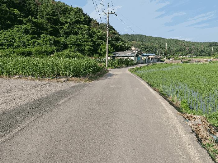 2025타경1301 법원경매 사진5 | 경남 창녕군 전 경매