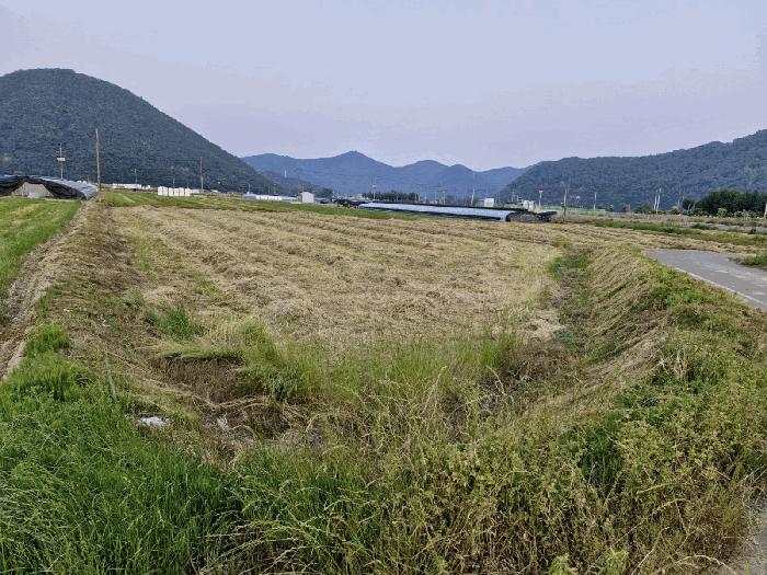 경상남도 밀양시 청도면 고법리 1377-7 법원경매 물건 대표사진