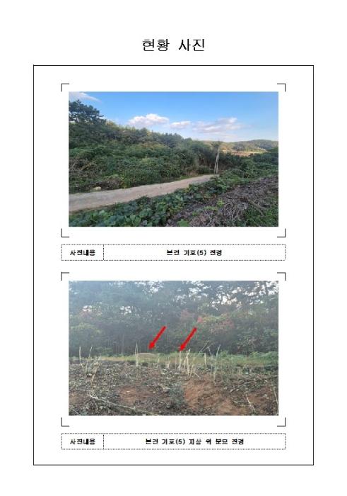 2024타경57396 법원경매 사진40 | 전남 무안군 주택건물 경매