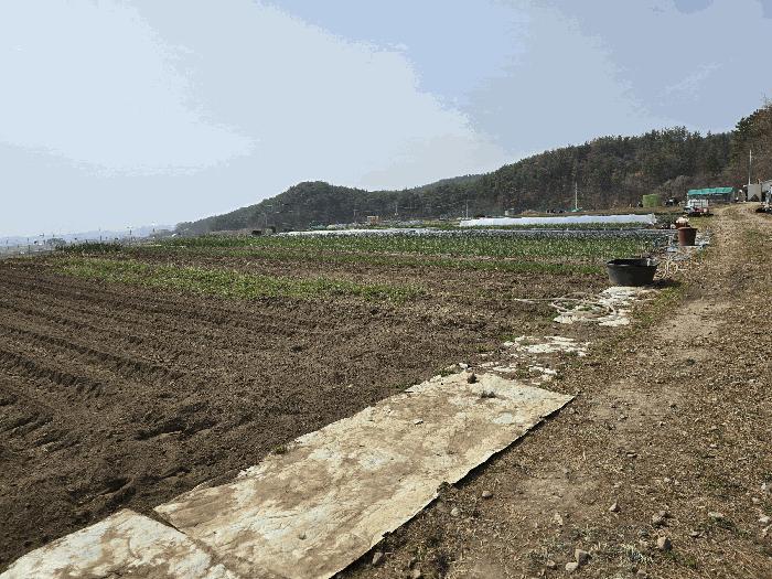 법원경매 2025타경3640 사진2 | 포항시 북구 흥해읍 덕성리 4-4 답 경매