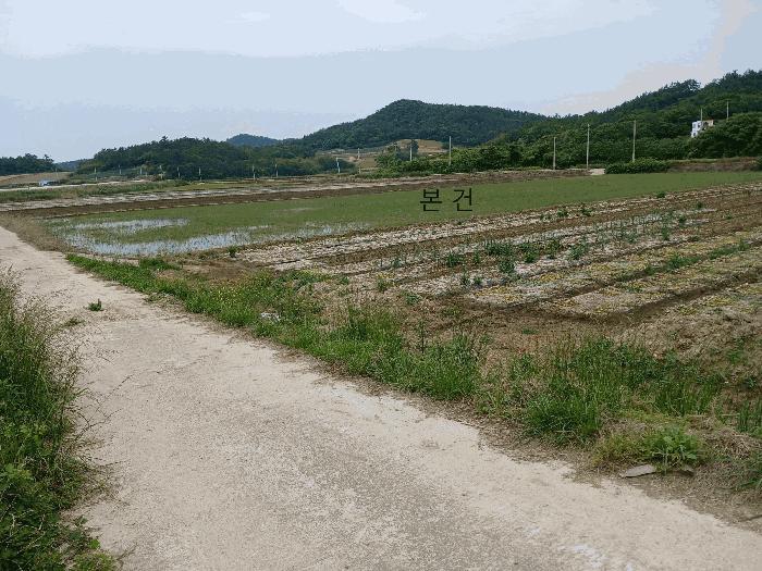 전라남도 신안군 자은면 유각리 1206-6 법원경매 물건 대표사진