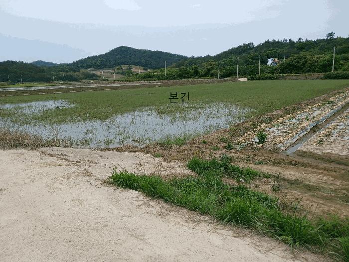 2025타경386 법원경매 사진4 | 전남 신안군 답 경매