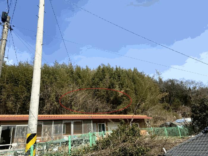 전라남도 함평군 손불면 궁산리 768 법원경매 물건 대표사진