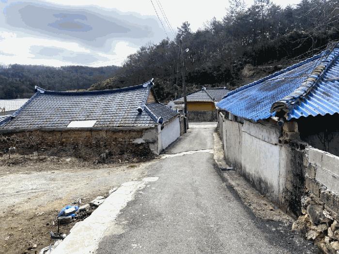 2025타경50933 법원경매 사진7 | 전남 함평군 전답 경매
