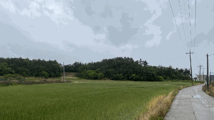 2025타경51073 법원경매 사진5 | 전남 신안군 임야 경매