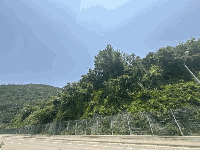 전라남도 영암군 학산면 독천리 산77 법원경매 물건 대표사진