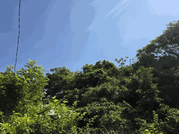 전라남도 신안군 지도읍 자동리 899-1 법원경매 물건 대표사진