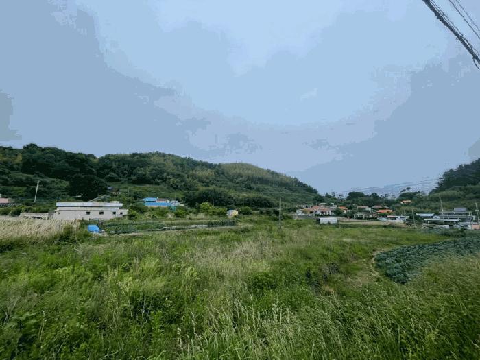 2025타경21354 법원경매 사진8 | 경남 거제시 전 경매