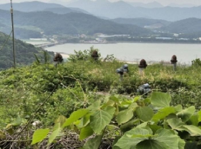 2025타경21361 법원경매 사진6 | 경남 고성군 기타토지 경매