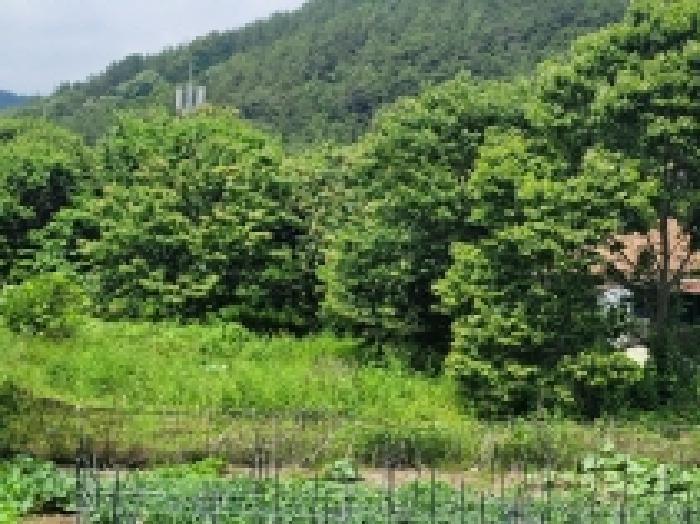 2025타경21479 법원경매 사진8 | 경남 통영시 답 경매
