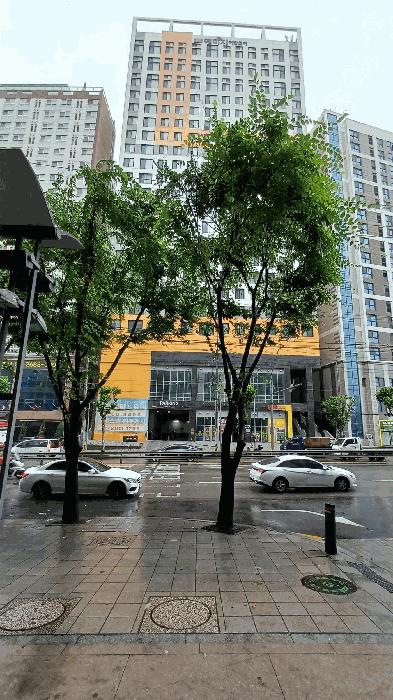 법원경매 2025타경535 사진3 | 서울 구로구 오류동 31-280 근린상가 경매