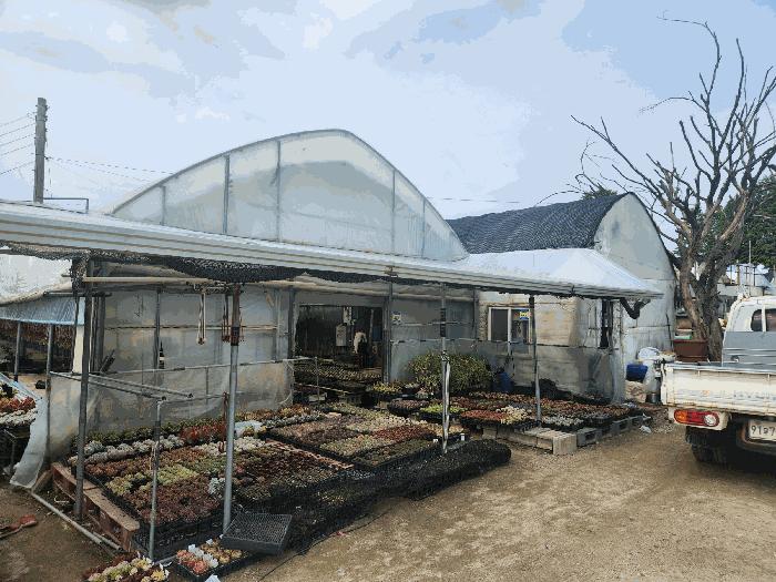 법원경매 2025타경1675 사진14 | 양주시 장흥면 삼하리 262-6 답 경매