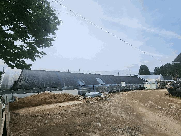 법원경매 2025타경1675 사진19 | 양주시 장흥면 삼하리 262-6 답 경매